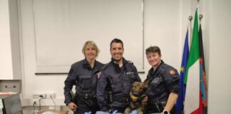 A Milano sequestrati 7 kg di marijuana nascosta in un orto