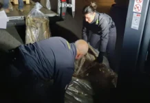 Sequestro della Guardia di Finanza di una tonnellata di stoccafisso non tracciato a Jesolo Sequestro stoccafisso Jesolo