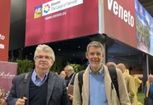 Viticoltura in Veneto, Europa Verde: “Successo economico, ma fallimento ambientale”. Allarme su uso dei pesticidi Viticoltura Veneto