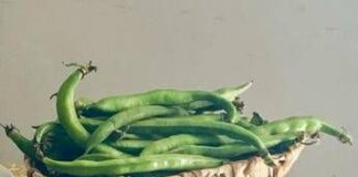 1 maggio, fave e pecorino alla scampagnata? Mix ideale per la salute: ecco perché