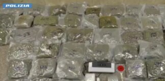 Traffico di droga e riciclaggio, 24 arresti tra Italia e Spagna