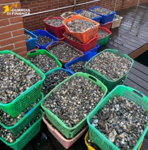 Vongole veraci