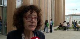 Aids, D’Arminio Monforte (UniMi): “Triplice terapia per Hiv efficace e ben tollerata a lungo”