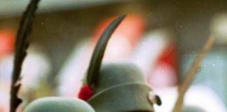 Zanoni (Europa Verde): “Faccetta Nera all’Adunata di Biella, gravità inaccettabile. Zaia non doveva tacere” adunata di biella