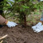 Ambiente e inclusione, la responsabilità sociale fa bene a territori e comunità