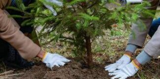 Ambiente e inclusione, la responsabilità sociale fa bene a territori e comunità