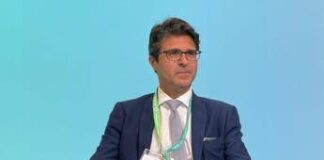 Andreoli (Renael e Aess): “Per transizione green puntare su partenariato”