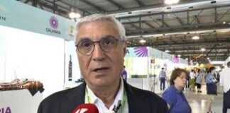 Artigiano in fiera, Intiglietta (Ge.Fi): “Dopo trent’anni lanciamo Anteprima d’Estate”