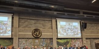 Sviluppo sostenibile, Barbaro “Successo italiano a Nairobi”