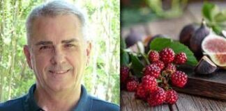 Caldo ‘booster’ stanchezza e cali di pressione, ecco come evitare lo stress termico