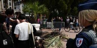 Cannes, palma travolge spettatore del festival sulla Croisette: è grave