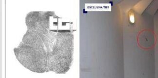 Caso Garlasco, genetista Capra frena: “Con metodo pm si riapre tutto, anche delitto di Yara”