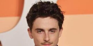 David 2025, chi è Timothée Chalamet: la star che riceve il premio speciale