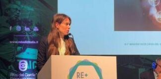 Edilizia, Ricciuti (Fond. Bruno Kessler): “Comunità energetica incentiva utilizzo consapevole risorse”