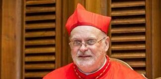 Elezione nuovo Papa, via al Conclave: chi è il cardinale Anders Arborelius
