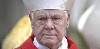 Elezione nuovo Papa, via al Conclave: chi è il cardinale Gerhard Ludwig Müller