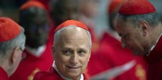 Papa Leone XIV. Zaia “Veneto in festa per il nuovo interprete del nostro tempo”. Rucco “Segnale di speranza”. La gioia dei Vescovi triveneti nuovo Papa Robert Francis Prevost