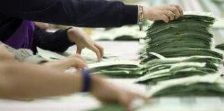 Elezioni in Australia, media: hanno vinto i Laburisti