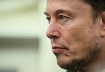Elon Musk: “L’Italia sta scomparendo”