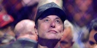 Elon Musk e il futuro: “Rimango con Tesla, se non muoio”