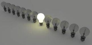 Energia 100% web: come cambia la scelta delle tariffe luce