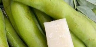 Favismo per 400mila italiani, rischi anche da farmaci e infezioni