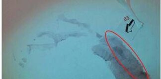 Garlasco, pm: “C’è impronta Sempio”. Ma per Ris “traccia inutile e senza sangue”