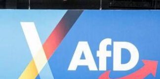 Germania, intelligence: Afd partito estremista di destra