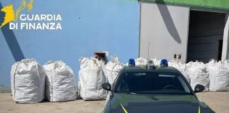 Sequestrate nel sassarese 3,7 tonnellate di cannabis