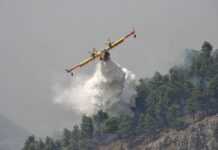 Stagione degli incendi, Berlato (FdI/Ecr): “Sono i comportamenti del singolo ad innescarli: bisogna investire nella prevenzione” stagione degli incendi interviene berlato