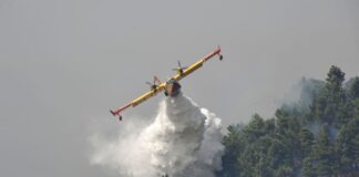 Stagione degli incendi, Berlato (FdI/Ecr): “Sono i comportamenti del singolo ad innescarli: bisogna investire nella prevenzione” stagione degli incendi interviene berlato