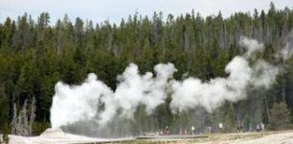 Incidente a Yellowstone, 7 morti: anche un’italiana tra le vittime