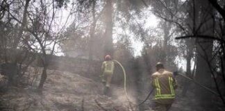 Israele ancora in fiamme, Netanyahu: “18 arresti per sospetto incendio doloso”
