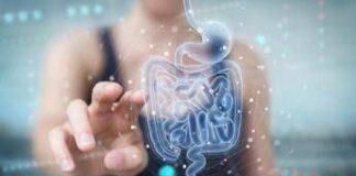 Microbiota fondamentale per il benessere, studio svela il perché