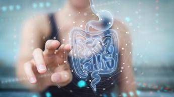 Microbiota fondamentale per il benessere, studio svela il perché