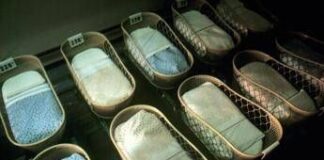 Natalità, Consulenti del lavoro: “Con inverno demografico entro 2040 oltre 3,1 mln lavoratori in meno”