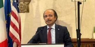 Pa, Butti: “Europa può fare di più per digitalizzazione”