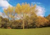 Parco Robinson di Schio