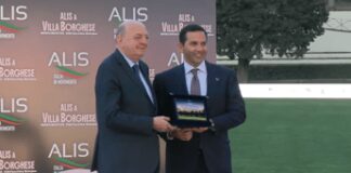 Pichetto: “Divieto motore endotermico è idiozia colossale”