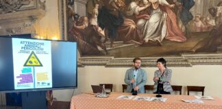 Comune di Vicenza e Ulss 8 Berica insieme contro le malattie trasmesse dalle zanzare possamai e padovan su lotta alle zanzare