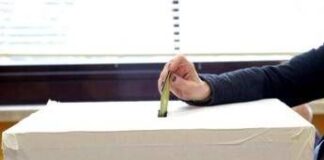 Referendum, Giordano: “Sono la maggiore espressione della volontà popolare”