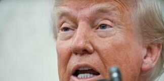 Trump, i dazi e Taco: perché la parola fa arrabbiare il presidente