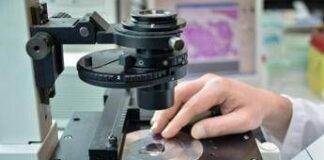 Tumori al seno, anticorpo coniugato in prima linea rallenta la malattia