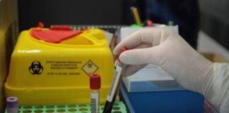 Tumori, nuovo test del sangue ‘low cost’ promette di scoprire diversi tipi di cancro