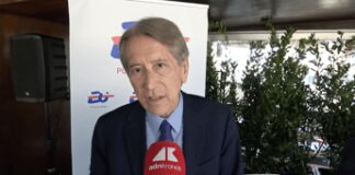 Ue, Terzi: “Democrazie minacciate da guerra ibrida, serve una risposta coordinata”