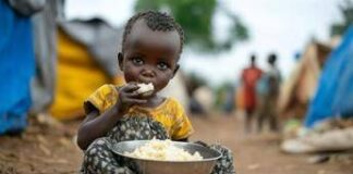 Università, la sfida alla malnutrizione parte dal Campus Cattolica di Cremona