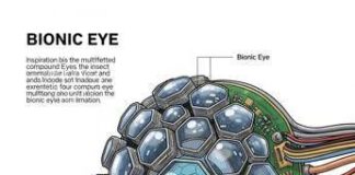 Visione bionica, sensori ispirati agli insetti aprono nuove frontiere per l’AI e la Scienza