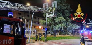 Vicenza, perde il controllo dell’auto, sbanda e danneggia il semaforo incidente semaforo danneggiato viale d'alviano