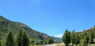 Una turista italiana tra le sette vittime dell’incidente stradale vicino al Parco di Yellowstone