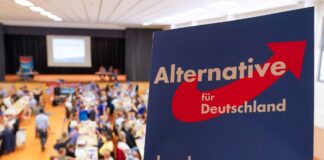 L’intelligence tedesca decreta l’AFD di ‘estrema destra’, le reazioni di Salvini e Borchia